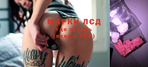 мдпв Новозыбков