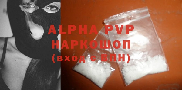 мдпв Новозыбков