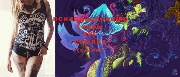 амф Новодвинск