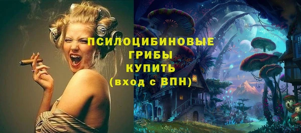 PSILOCYBIN Нягань