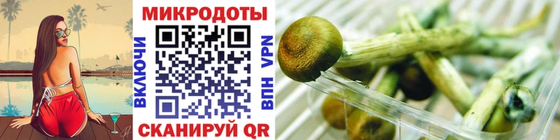 Галлюциногенные грибы ЛСД  цена наркотик  Бабушкин 