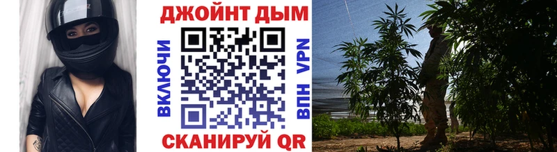 Шишки марихуана конопля  где найти наркотики  ссылка на мегу как войти  Бабушкин 